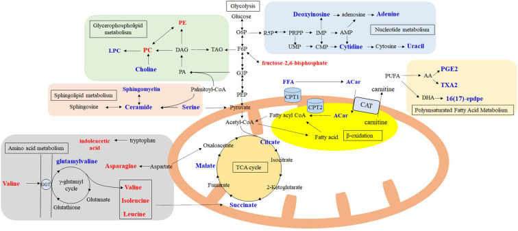 Figure 6