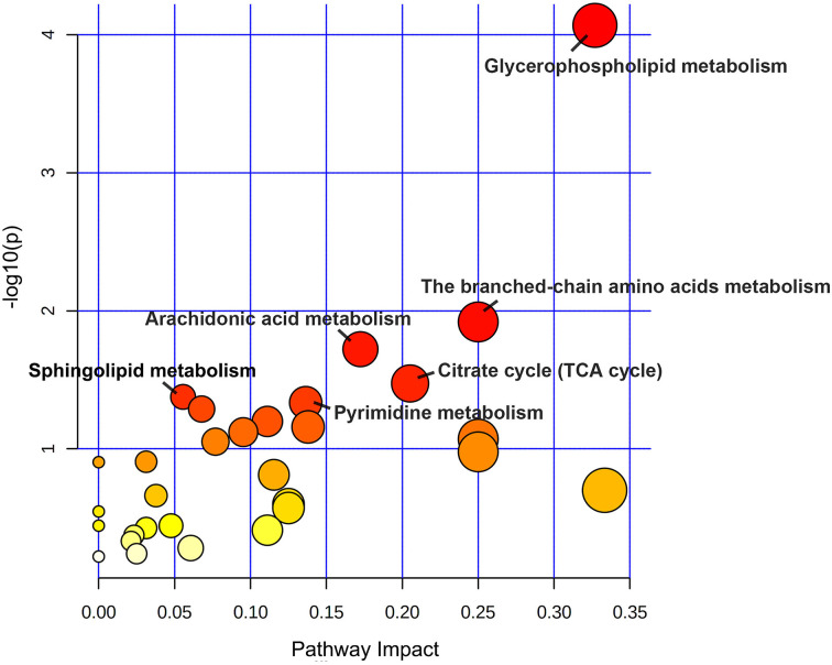 Figure 5