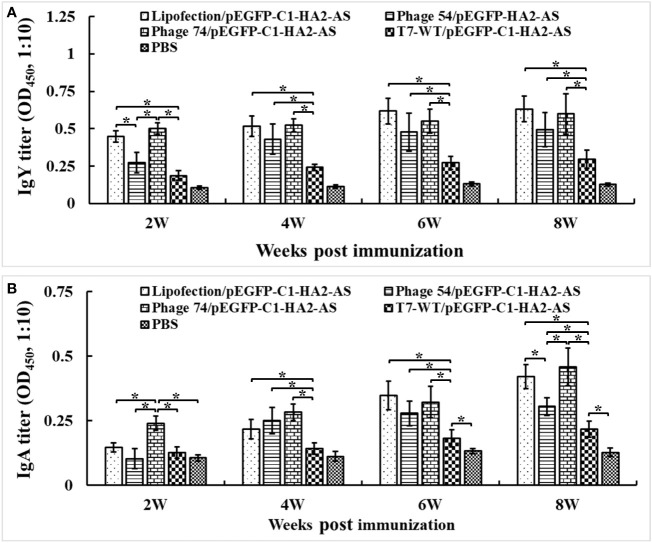 Figure 6