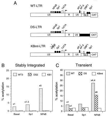 FIG. 1