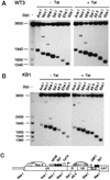 FIG. 7