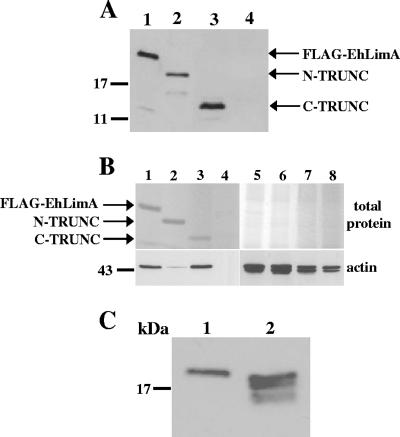 FIG. 7.