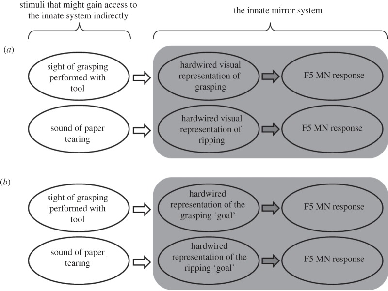 Figure 1.