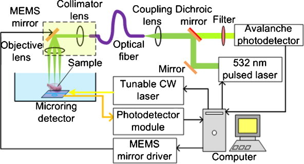 Fig. 1