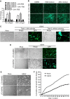 FIG 3