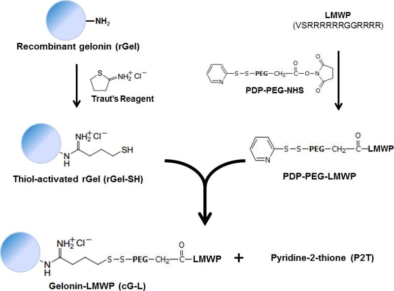 Fig. 1