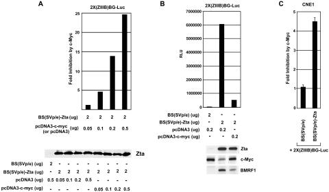 FIG. 2.