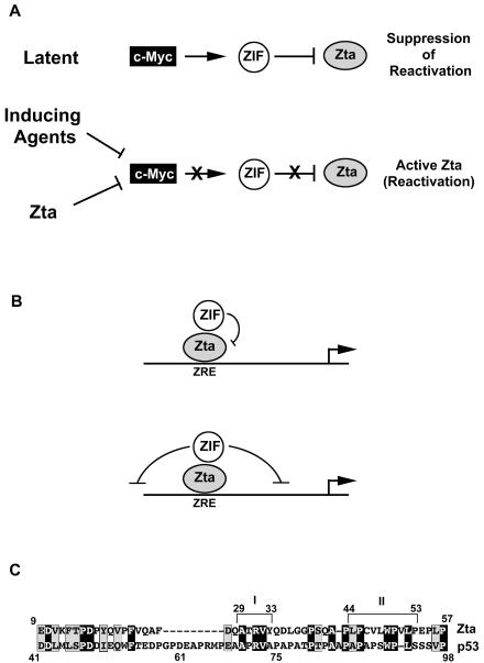 FIG. 8.