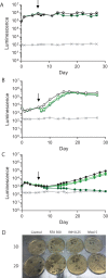 FIG 4