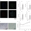 FIG 1