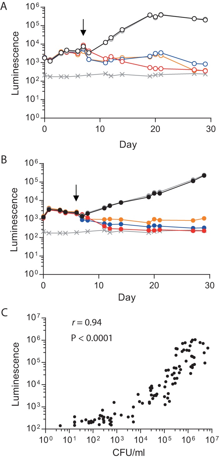 FIG 3 