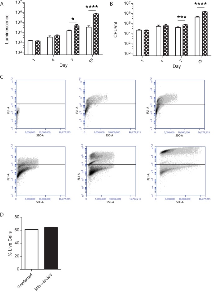 FIG 2 