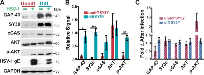 FIG 3