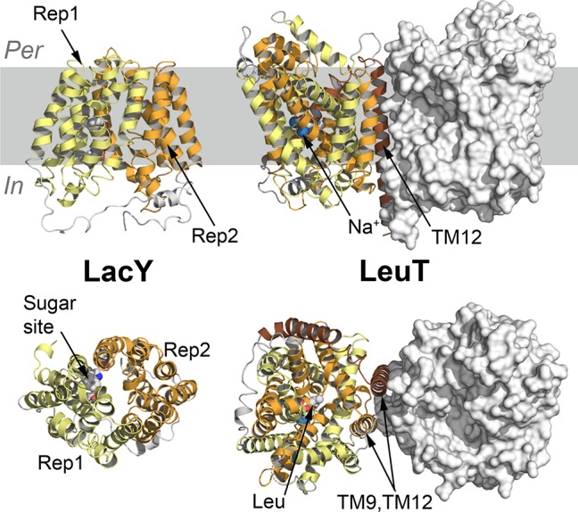 Figure 23