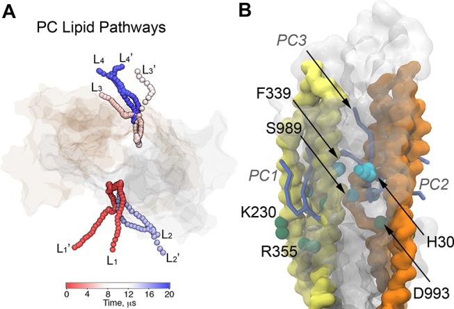 Figure 14