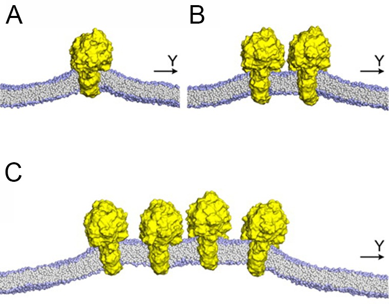 Figure 19