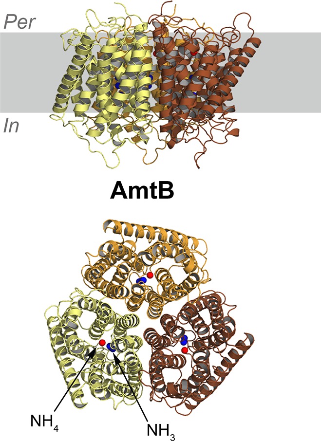 Figure 26