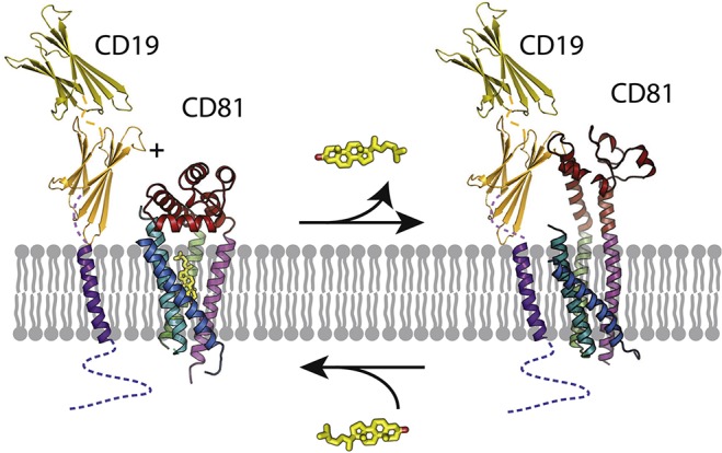 Figure 28