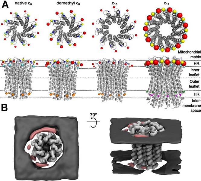 Figure 20