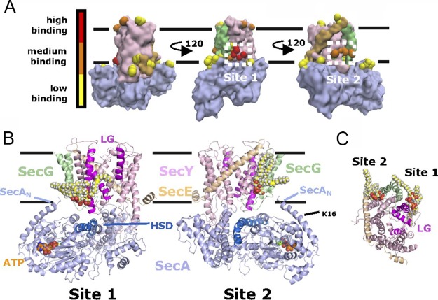 Figure 30