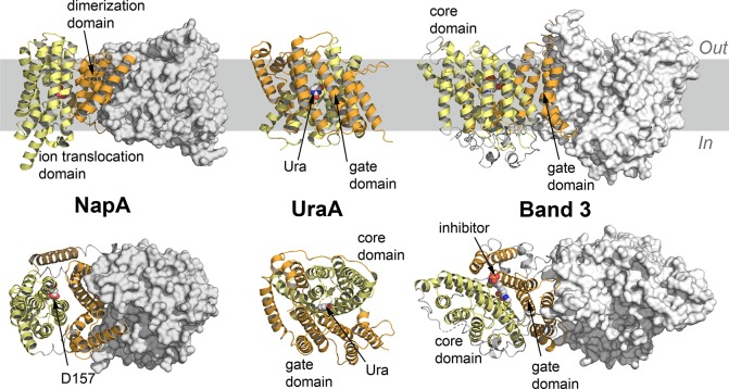 Figure 25