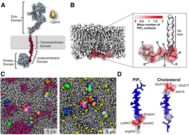 Figure 22