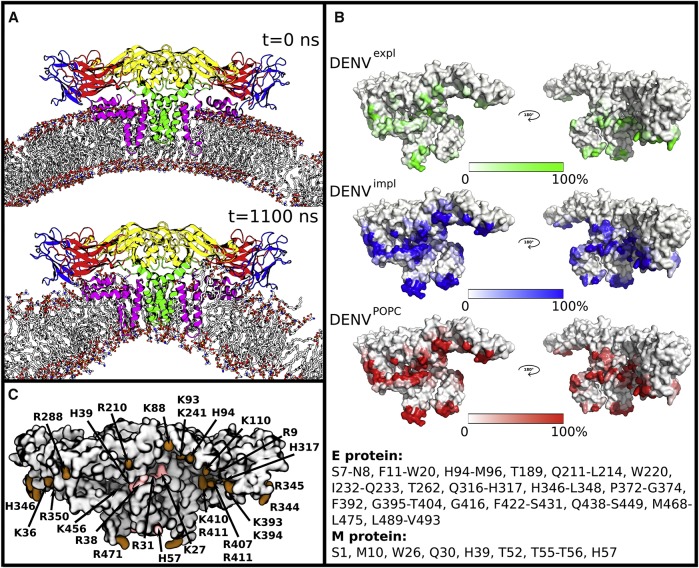 Figure 27