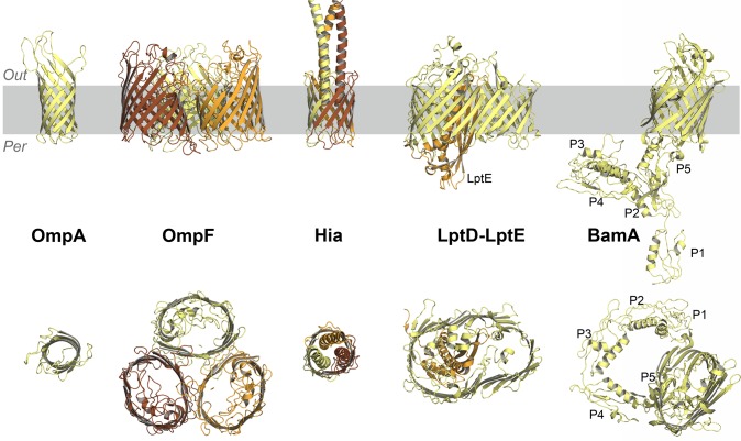 Figure 15