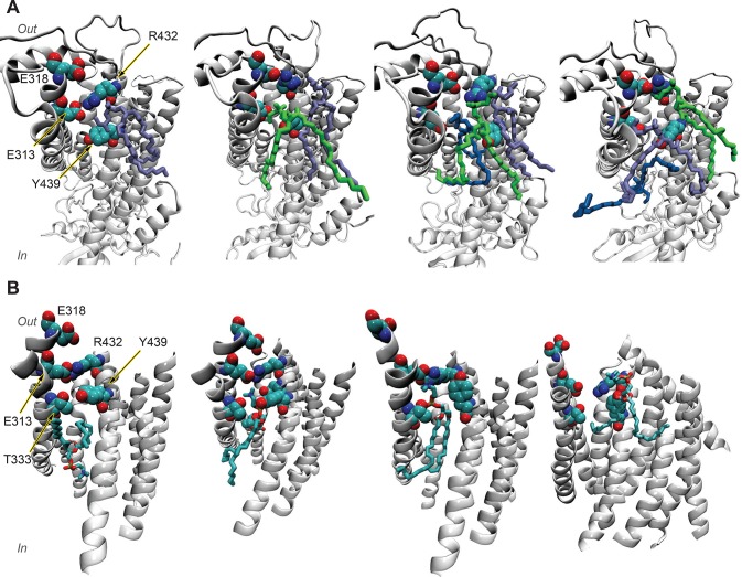 Figure 17