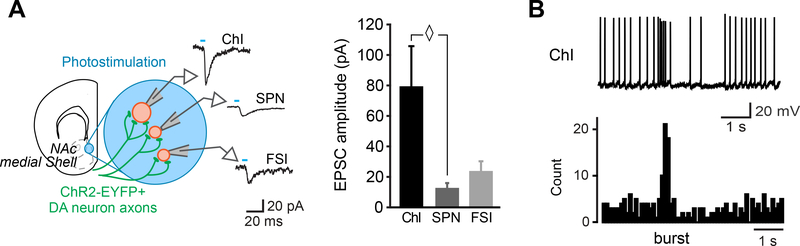 Figure 4 –