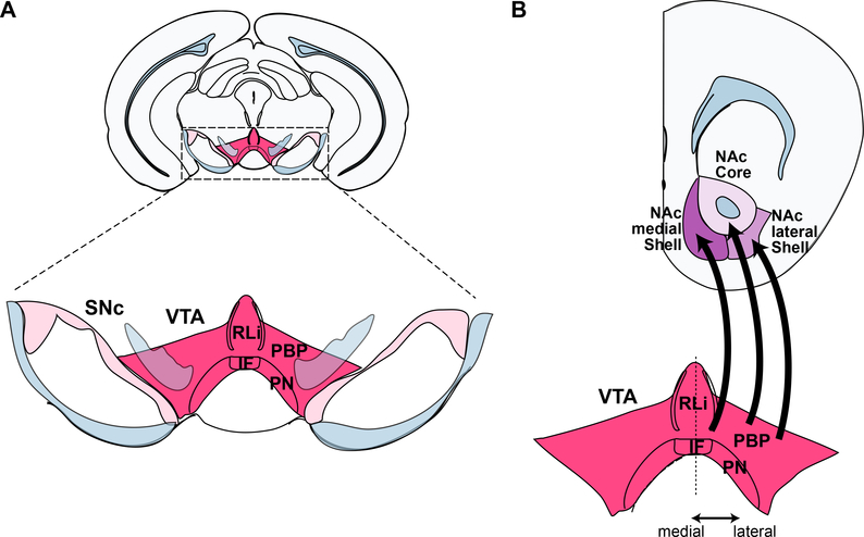 Figure 1 –