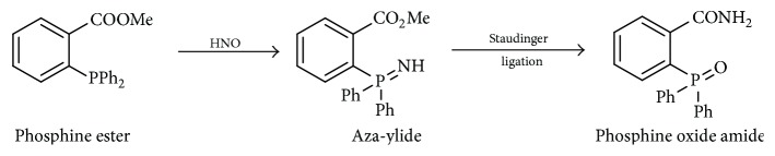 Scheme 11