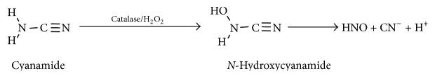 Scheme 4