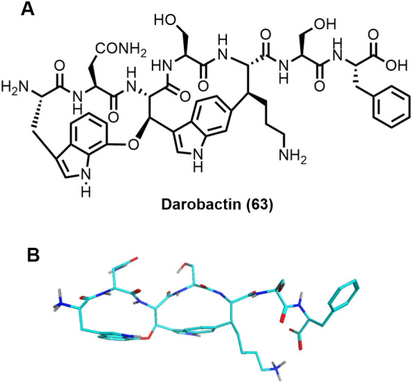 Figure 21