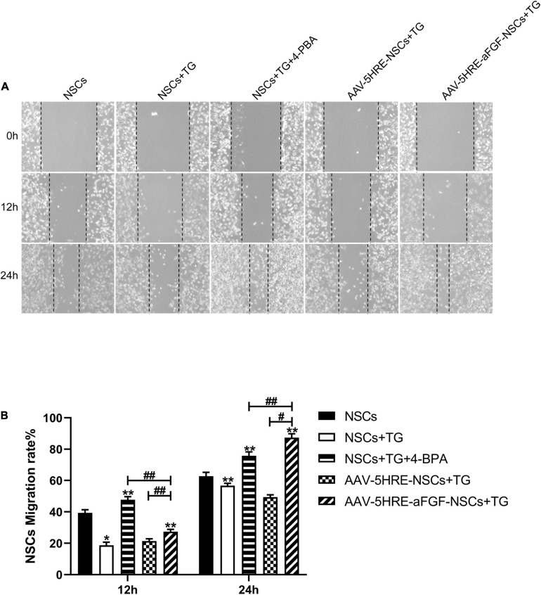 FIGURE 6