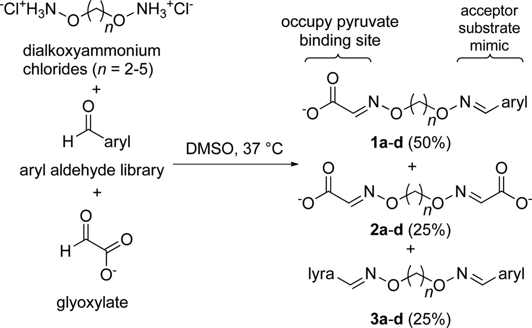 Scheme 2