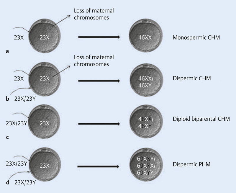 Fig. 3 a