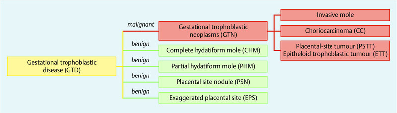 Fig. 1