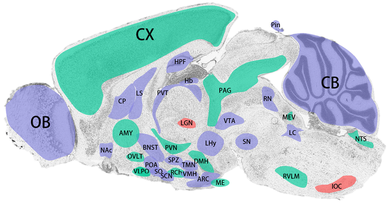 Figure 2.