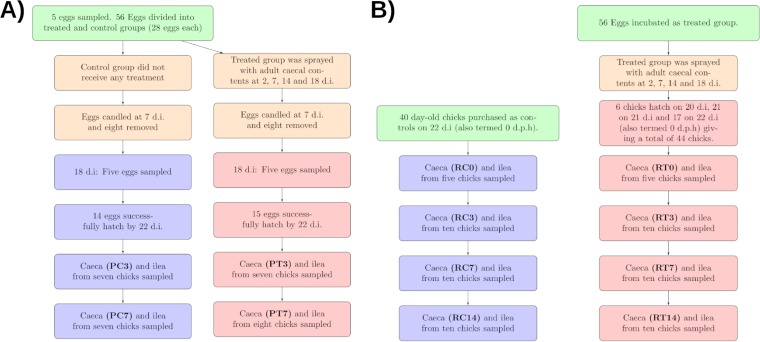 FIG 1