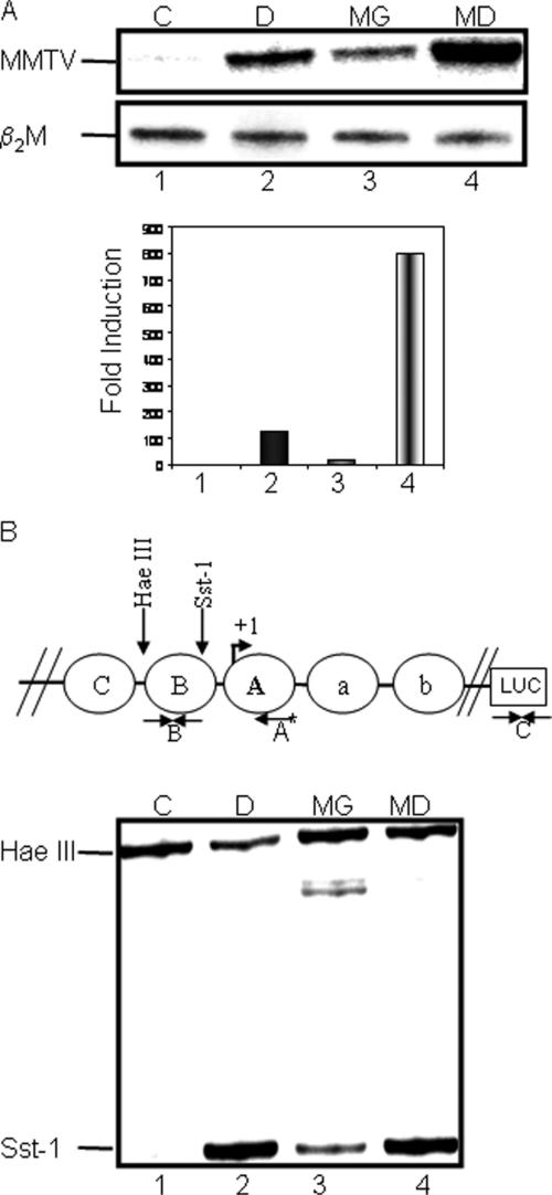 FIG. 1.