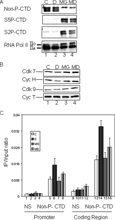 FIG. 7.