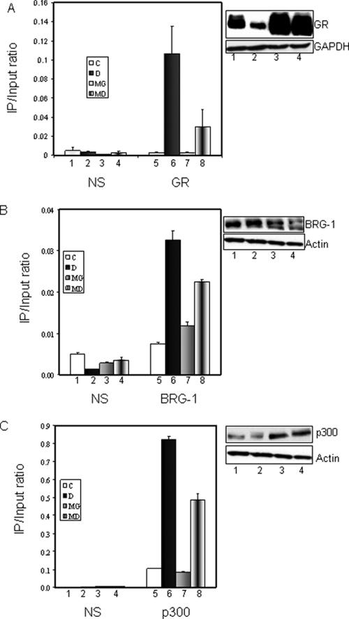 FIG. 2.