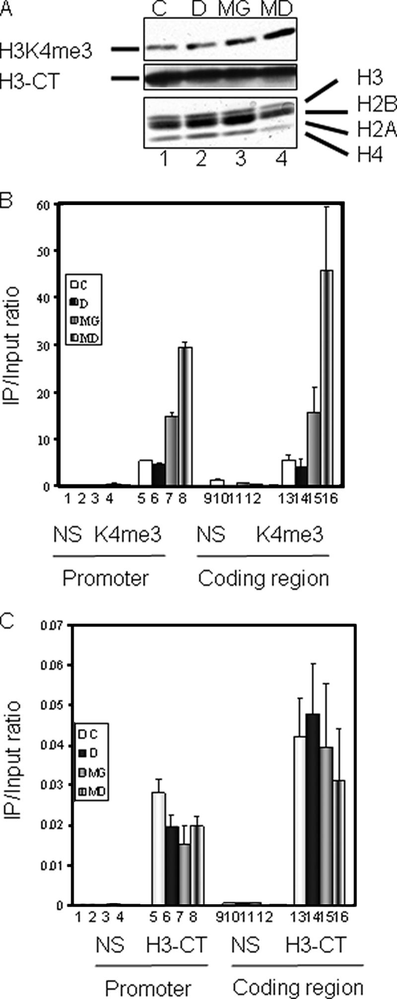 FIG. 6.