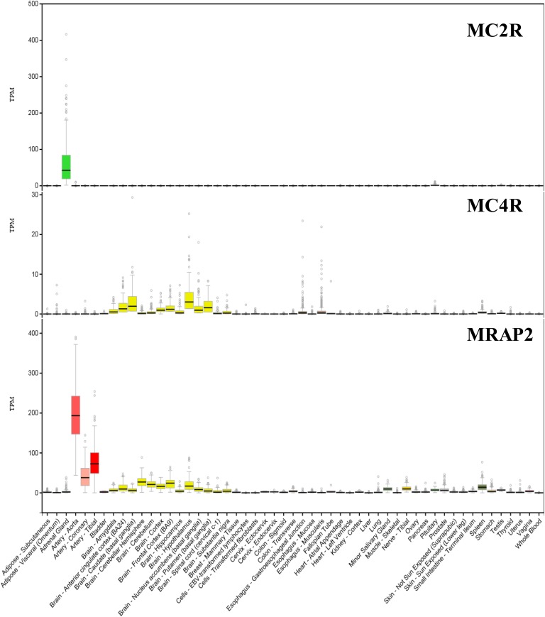 Figure 3.