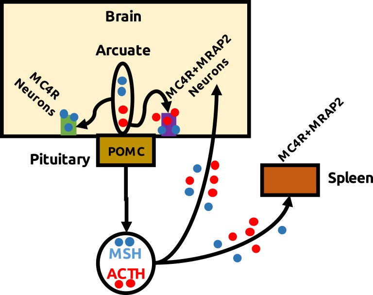 Figure 5.