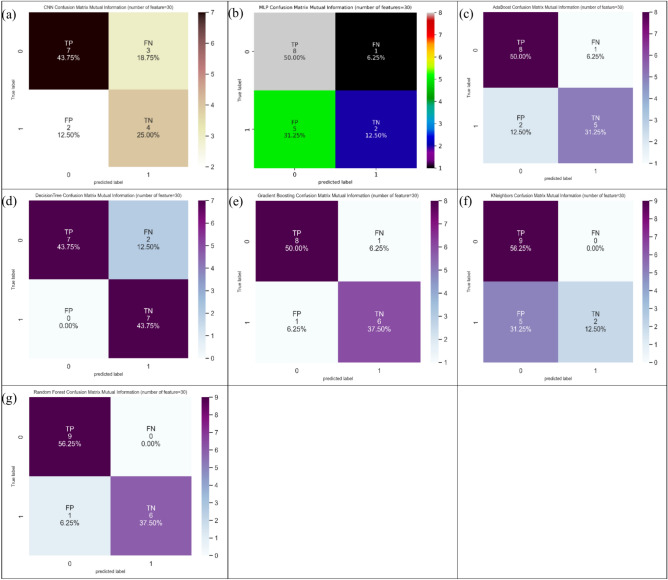Fig. 10