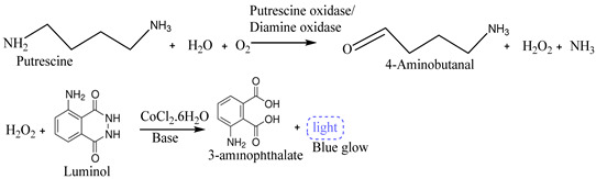 graphic file with name biosensors-15-00415-i003.jpg