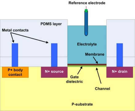 Figure 14.