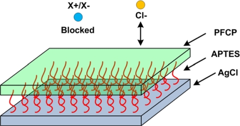 Figure 11.